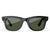 RayBan | Meta Wayfarer Smart Glasses - Shiny Black / G15 Green